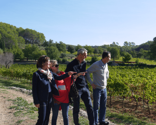 Cette image prÃ©sente une visite guidÃ©e sur mesure d'un domaine viticole